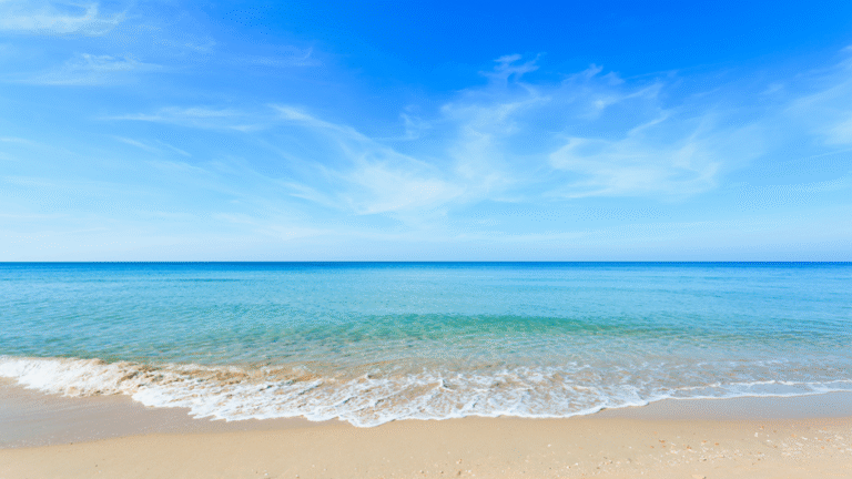 “Why Does the Ocean Look Blue if Water Is Transparent? The Science Behind the Sea’s Color”